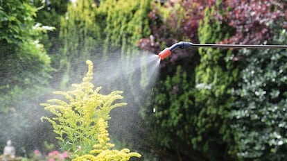 Pulverizadora de alta presión