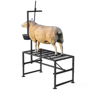 Alimentador rotatorio para ovejas
