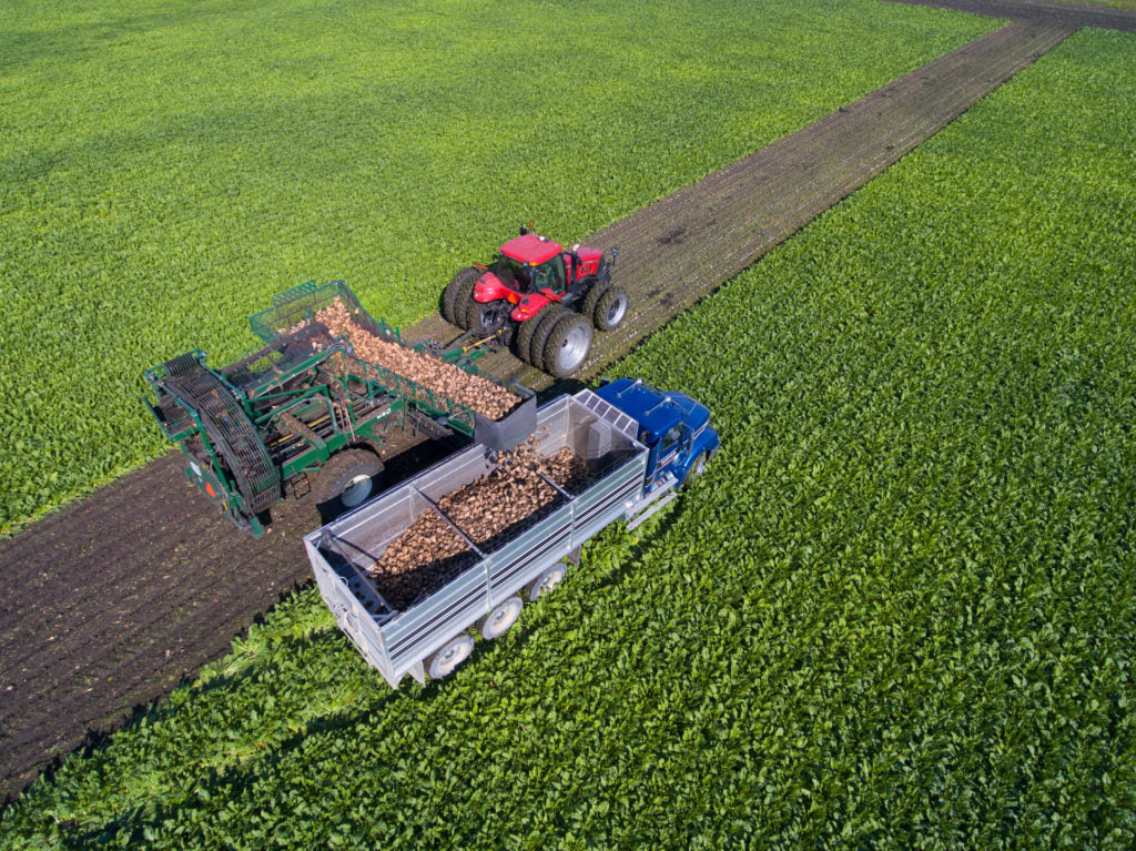 Cosechadora de remolacha