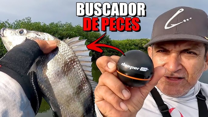 Detector de agregadores de peces
