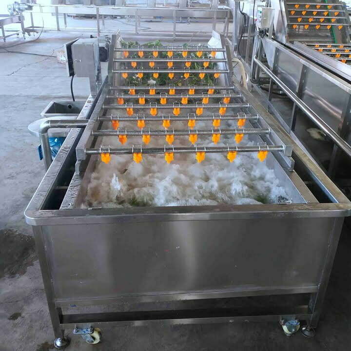 Lavadoras de frutas y verduras