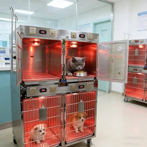 Poste divisor de animales