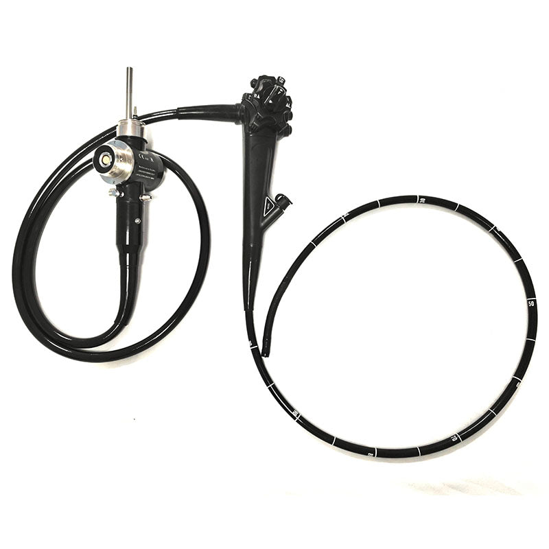 Endoscopio flexible