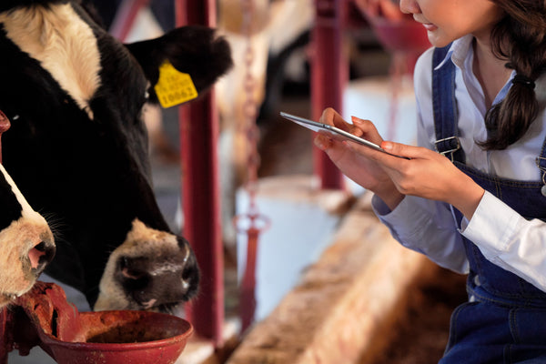 Sistema de monitoreo de salud ubre