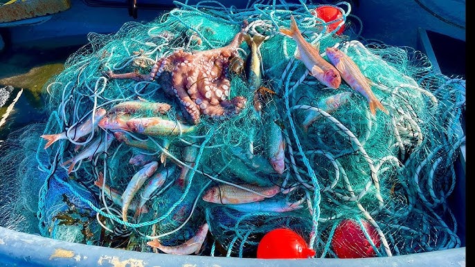 Recogedor de red de gillnet