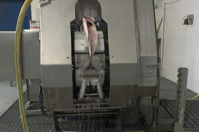 Evisceradora rotativa