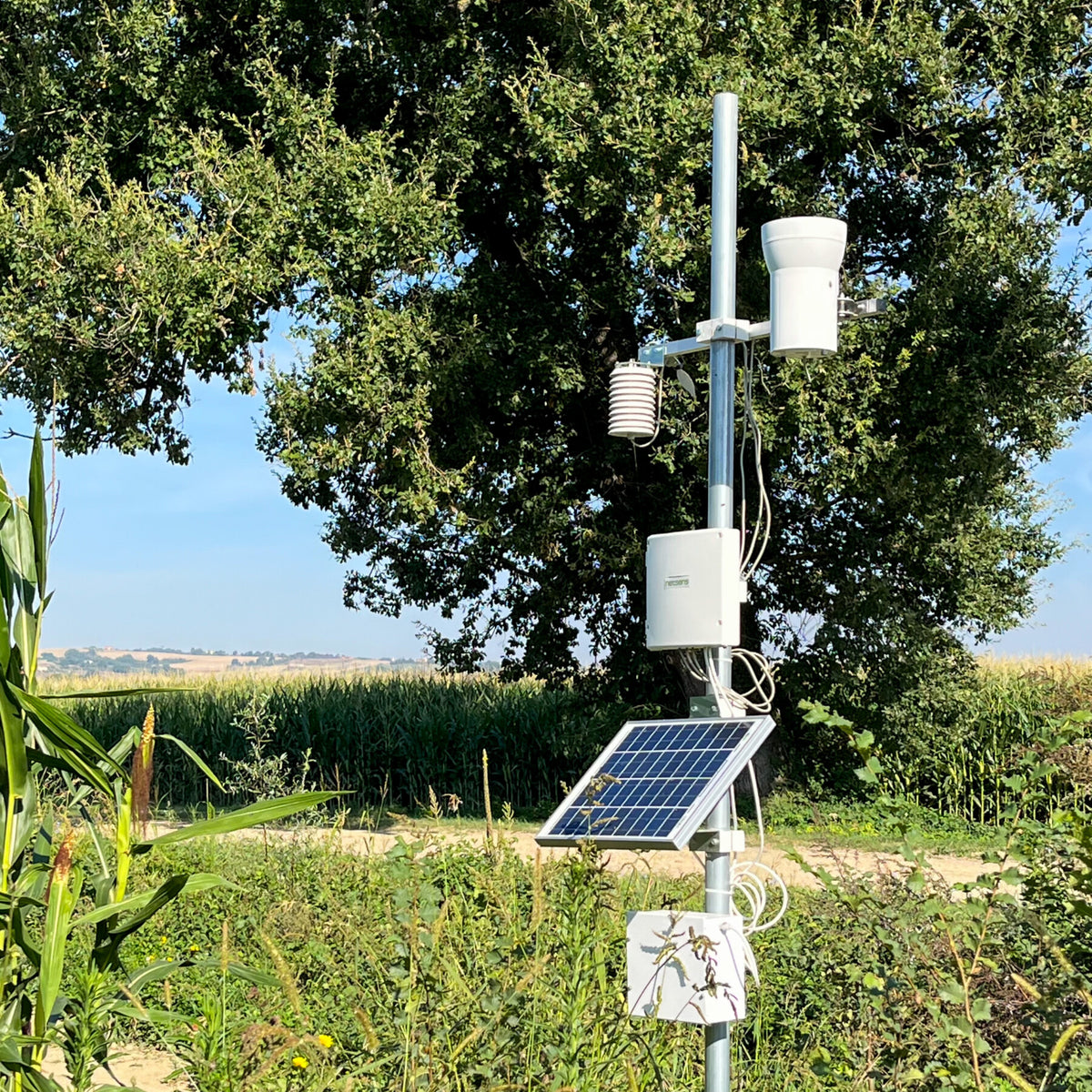 Sensor de monitoreo de cultivos