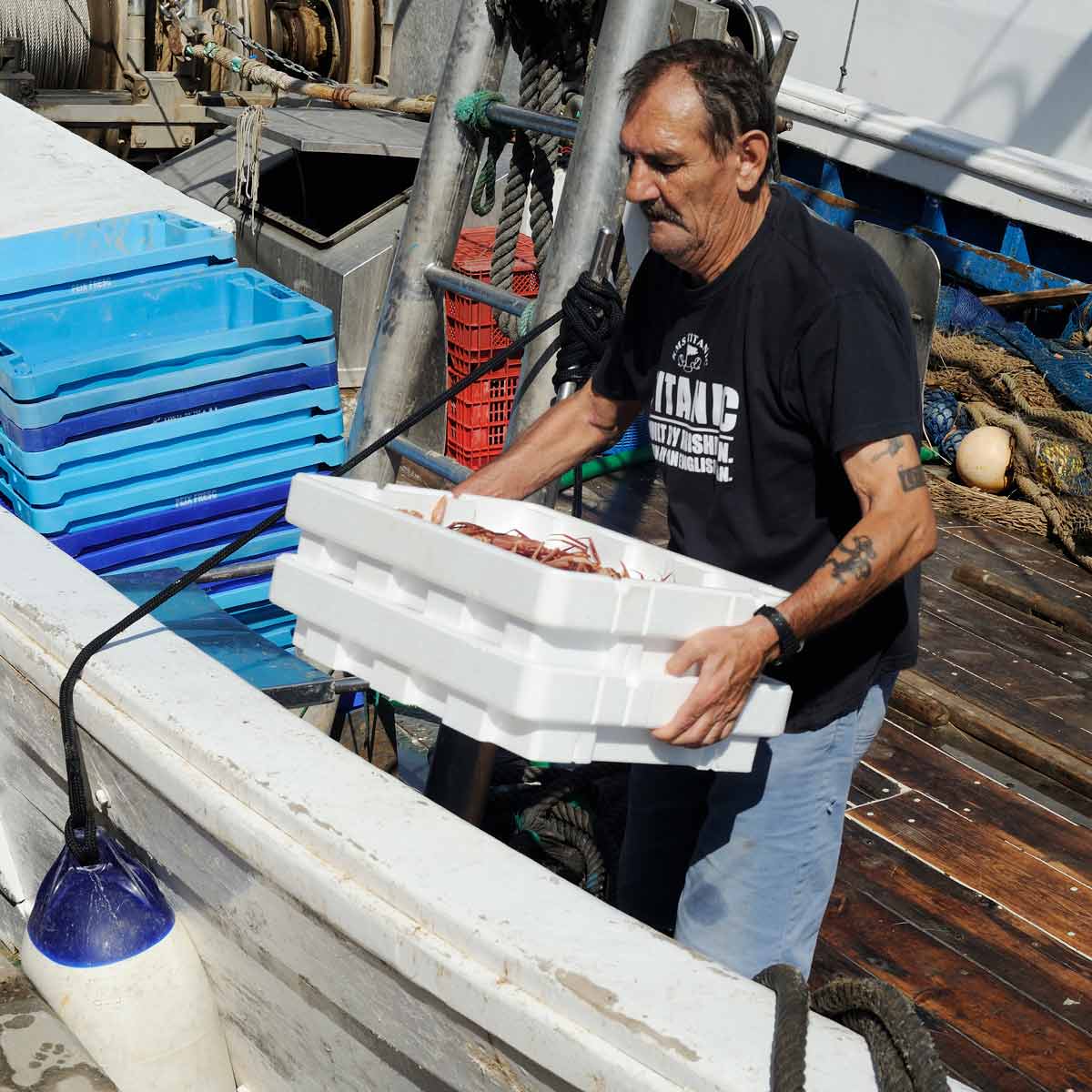 Transportador de pescado